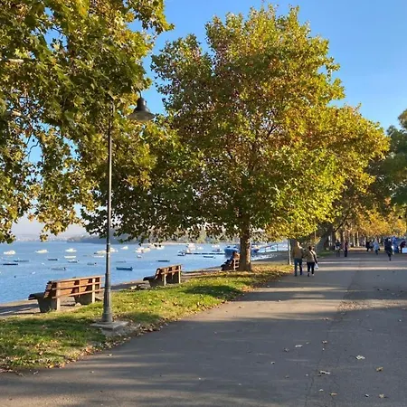 River Side Belgrade
