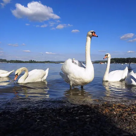 River Side * Belgrade